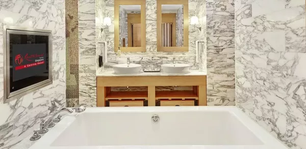 deluxe suite bathroom.jpg