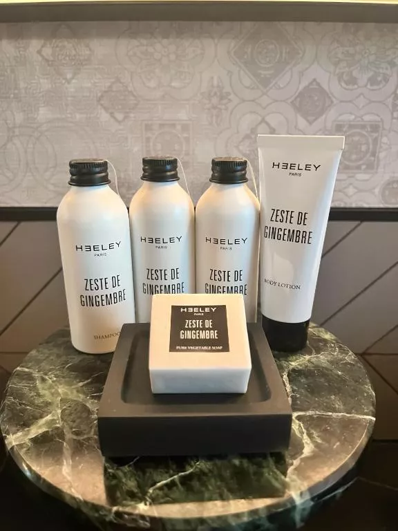 Deluxe Balcony BATHROOM ARTYZEN 3.jpg