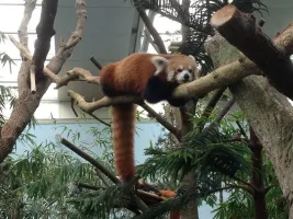 singapore-zoo (6).jpg