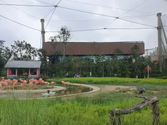 bird-paradise (1).jpg